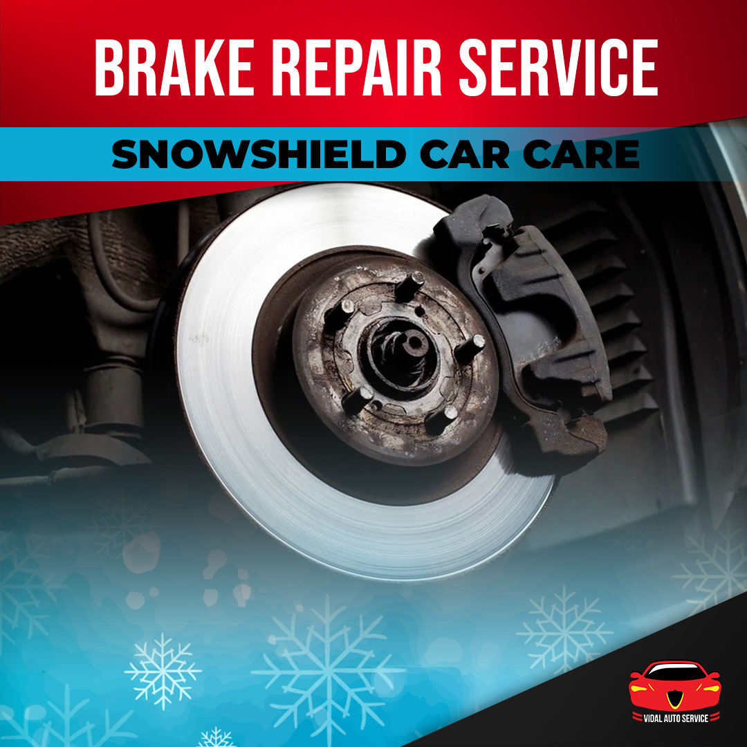 Ultimate Brake Service - Snow Shield