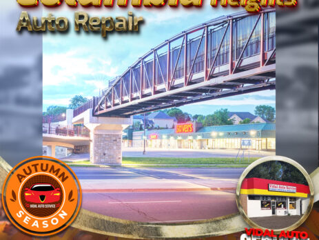 Top 5 Autumn Services